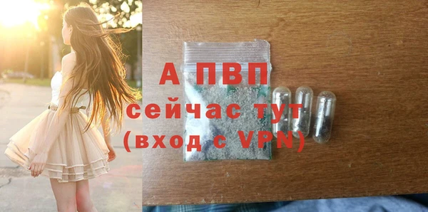 кокс Белокуриха