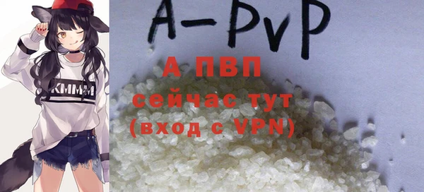 кокс Белокуриха