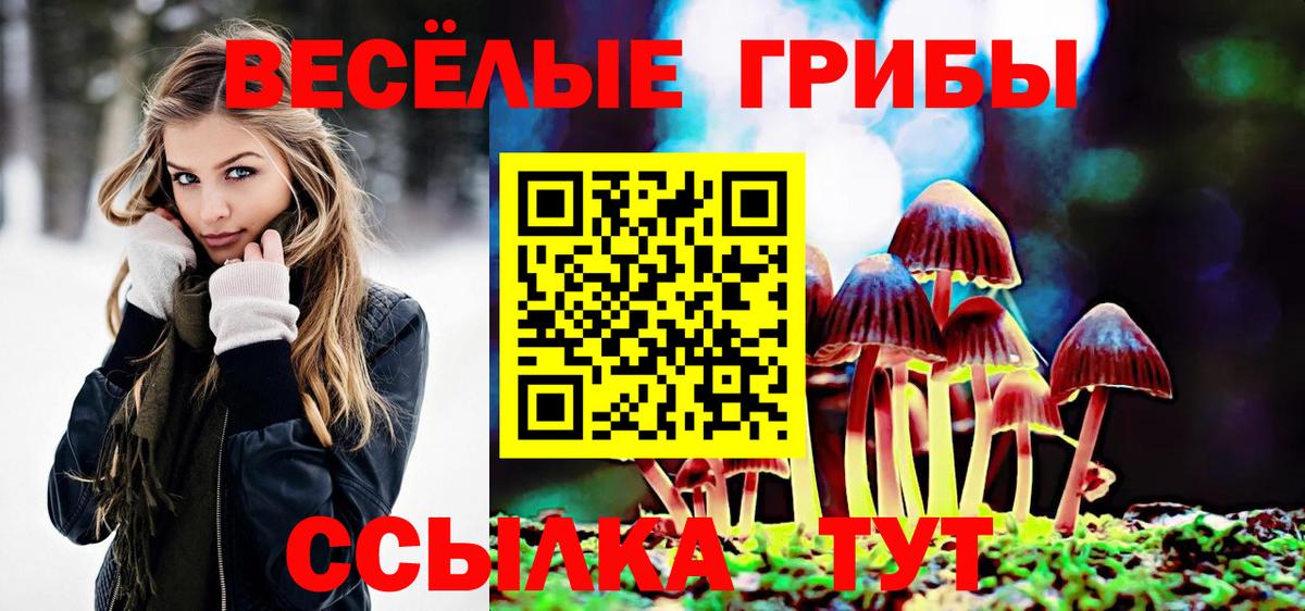 Верхний Уфалей  что такое   Вход с VPN  Псилоцибиновые грибы мицелий 